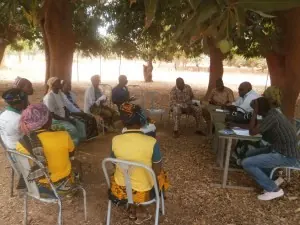Rencontre avec une communauté sous un arbre